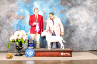 Bull Terrier White #23 SUN RWD Judge Gene Hains