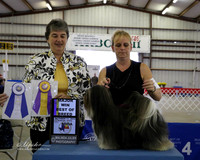 Lhasa Apso #7 Fri Maj Win BOB Henley Dr Maria Agent DeMers Lois Judge L Hiltz Canton Oct 2013