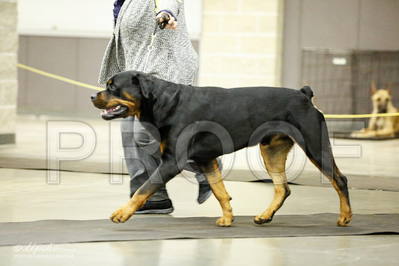 _RH_1761-BeltonJan2015IABCA-HR3