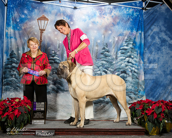 _ST_9423-DallasDec2014-HR3