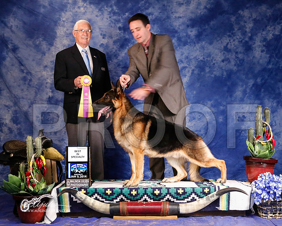 GSD-0381-GRJan14-HR