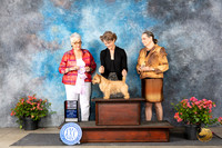 Norwich Terrier #27 Fri BOSS Judge Joan Eckert