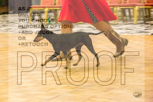 Manchester Terrier MTOY Candids-JJL_2301-Hstn2022_HR3