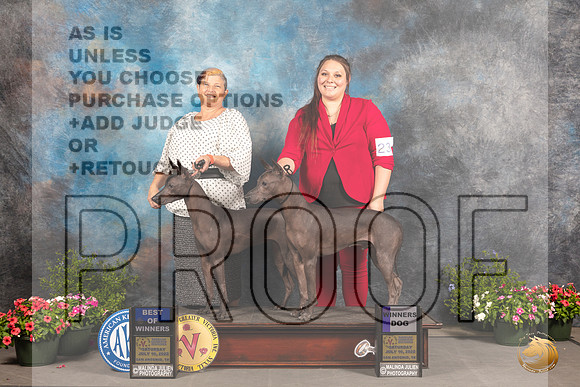 Xolo #6 BOW #23 Sat WD Judge Cindy Lane_MJ_0028_SA_2022_HR3