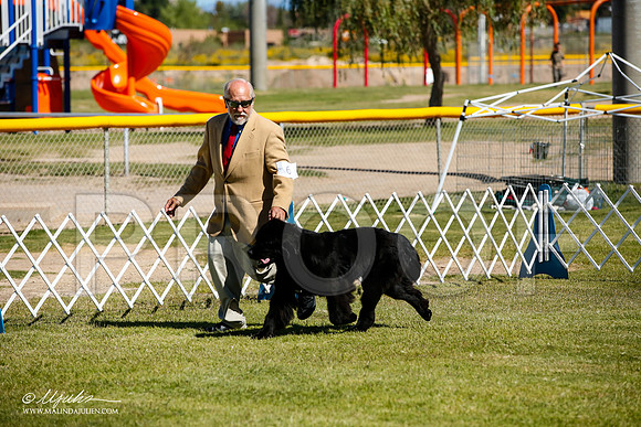 _JJ_0186-AlamogordoOct2014-HR3