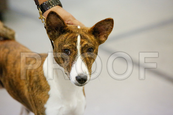 _JJ_3483-AmarilloSept2014-HR3