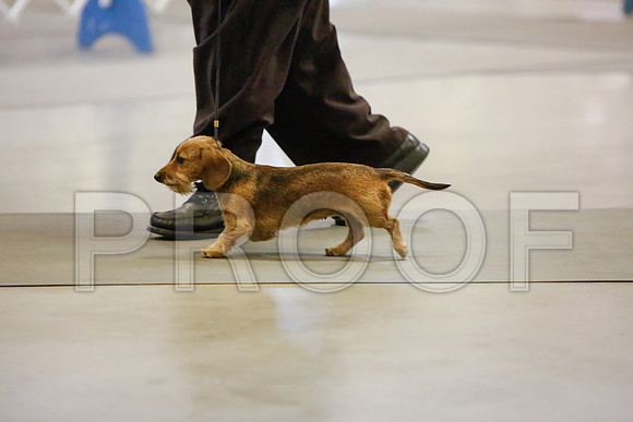 _JJ_3388-AmarilloSept2014-HR3