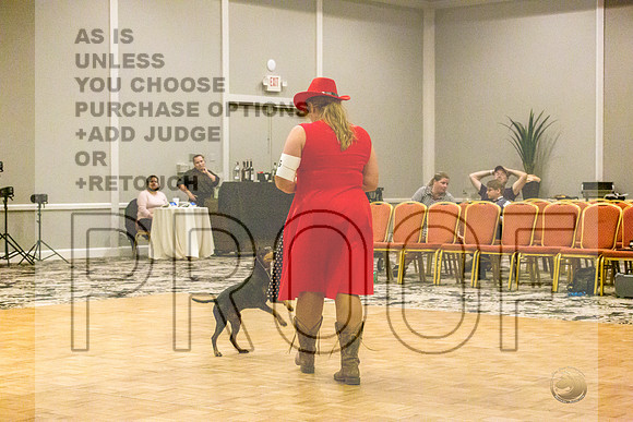 Manchester Terrier MTOY Candids-JJL_2205-Hstn2022_HR3
