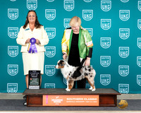Debra Dixon UKC Batesville 2024