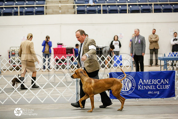 _RH_1491-AblnMay2014-web