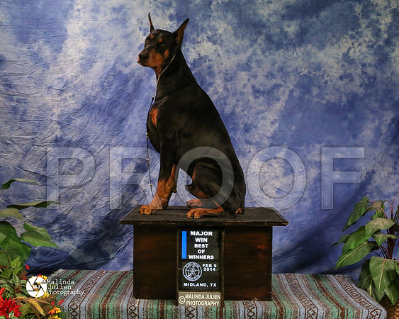 dobe-8169-MidFeb14-HR