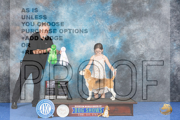 Beagle 15 #14 WED BV BOSSw Judge Douglas Johnson__JP_7016_Houston_2024_HR3