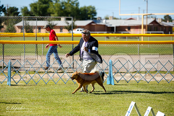 _JN_7597-AlamogordoOct2014-HR3
