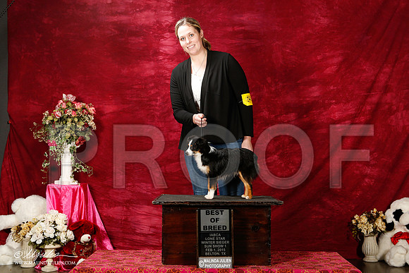_ST_2932-2-BeltonJan2015IABCA-HR3