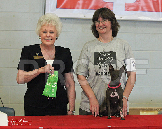 IMG_1024web