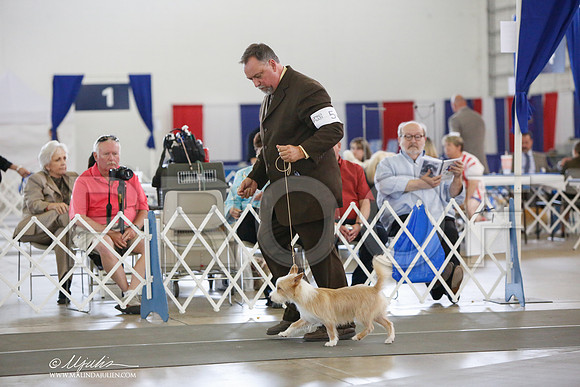 _JJ_2886-DallasJul2014-HR3