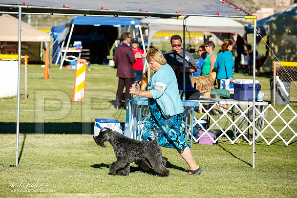 _JN_9928-AlamogordoOct2014-HR3