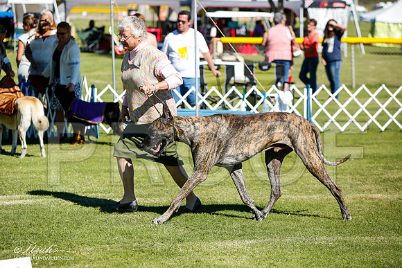 _JJ_5852-AlamogordoOct2014-HR3