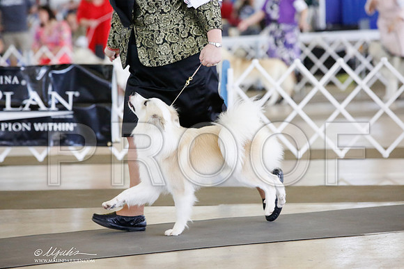 _CK_0728-DallasJul2014-HR3