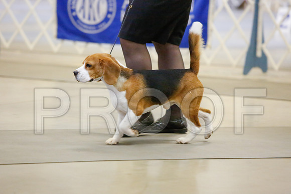 _JJ_3752-AmarilloSept2014-HR3