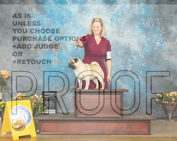 Pug #8 Sun G4 Judge Ray Filburn-MMJ_1969-NWARK2022-HR3