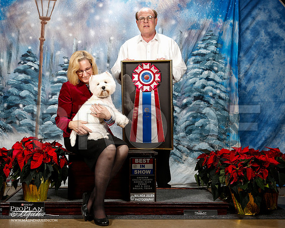 _ST_8413-2-DallasDec2014-HR3