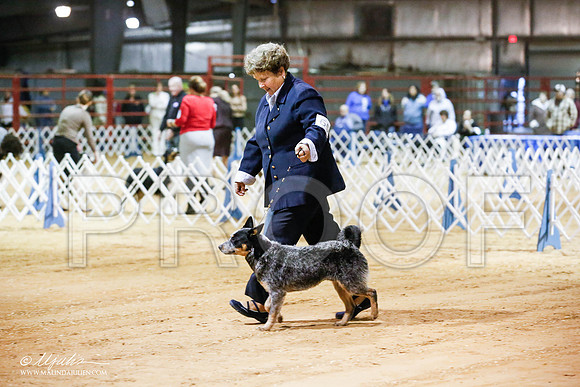 _JN_4404-2-GlenRoseJan2015-HR3