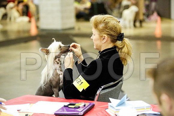 _JJ_5347-BeltonJan2015IABCA-HR3