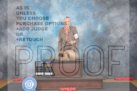 Pekeginese #6 BOBBOWWB NCH Sun Judge Pat Trotter__JP_0659_Sulphur Springs_2024_HR3