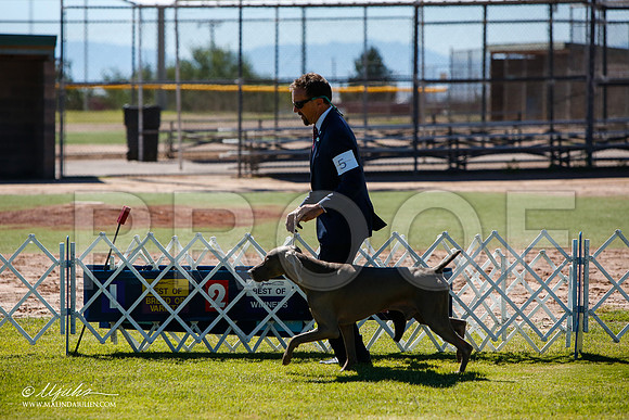 _JJ_5256-AlamogordoOct2014-HR3