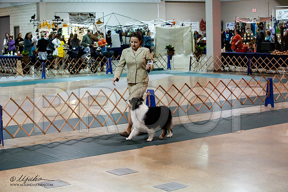 _JN_5745-ASCACollegeStationNov2014-HR3