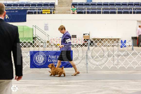 _CK_8803-AblnMay2014-web