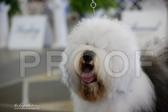 _JJ_3003-DallasJul2014-HR3