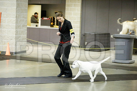 _RH_1109-BeltonJan2015IABCA-HR3