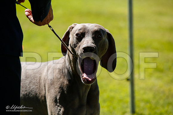 _JJ_5034-AlamogordoOct2014-HR3