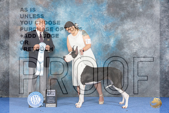 Great Dane #24 WED SB Judge James Remaklus__JP_6807_Houston_2024_HR3