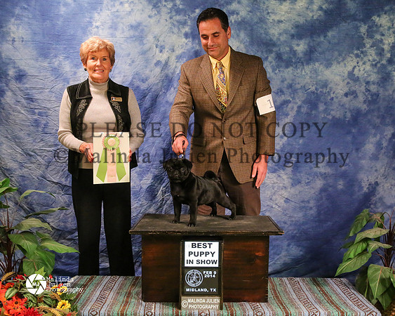 PUG-8770-MidFeb14-HR