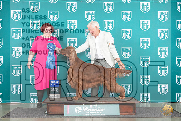 Irish Setter #862 Fri G1 Judge Tracy Karsjens__JP_1796_Premier_2024_HR3