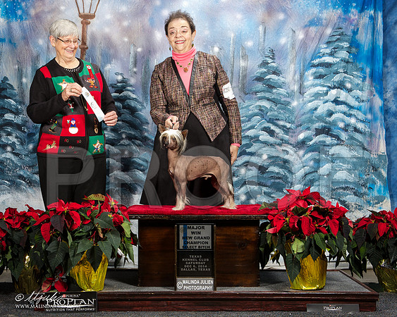 _ST_8524-DallasDec2014-HR3