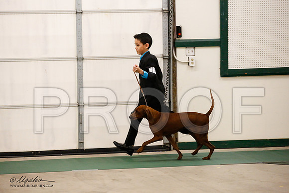 _JN_0604-NrmnNov2014-HR3