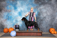 Rottweiler #12 Sun WB Judge Hal Biermann