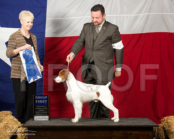 _ST_1560-AmarilloSep2014-HR3