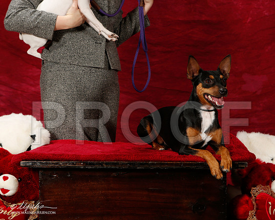 _ST_2110-2-BeltonJan2015-HR3