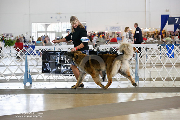 _JN_3490-DallasJul2014-HR3