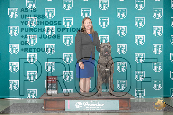 Cane Corso #1059 Fri BOB Deb Allen Sat G2 Judge Lori Sargent__JP_2548_Premier_2024_HR3