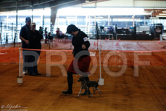 _RH_0705-MarshDec2014-HR