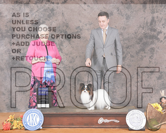 Pipillion #9 Sun G1 Judge Carol GrahamPipillion #9 Sun G1 Judge Carol Graham_WP_3900e-Marshal 2025-HR3