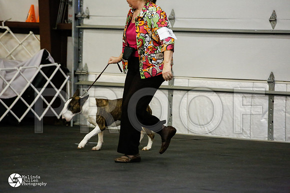 _J1_1736-2-AzleMar14-HR
