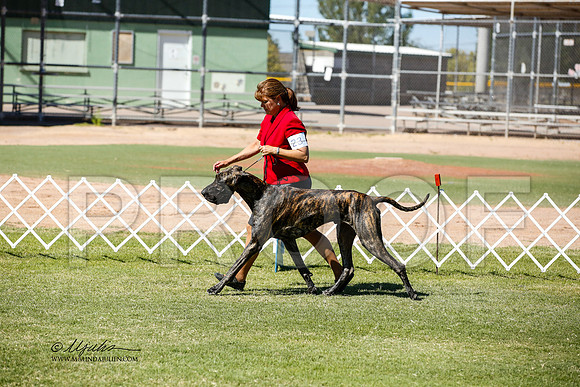 _JN_0823-AlamogordoOct2014-HR3