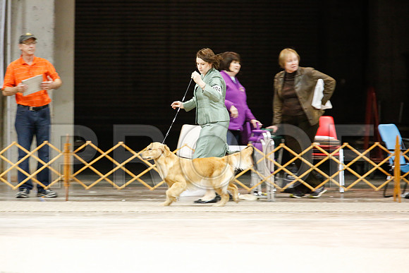BestVet-7193-WFOct2013-HR